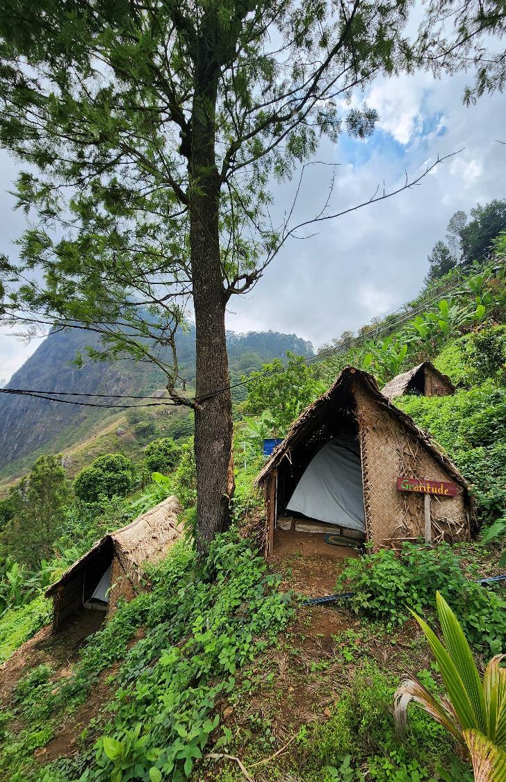 Explore nature at its fullest by staying in our comfortable tent setup, surrounded by forest views, fresh mountain air, and a peaceful sunrise — perfect for an immersive eco-camping experience at Shanti Earth.