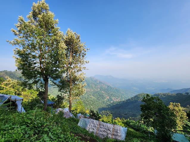 Wake up to gorgeous sunrises and the melodious chirping of birds, no stress just peace