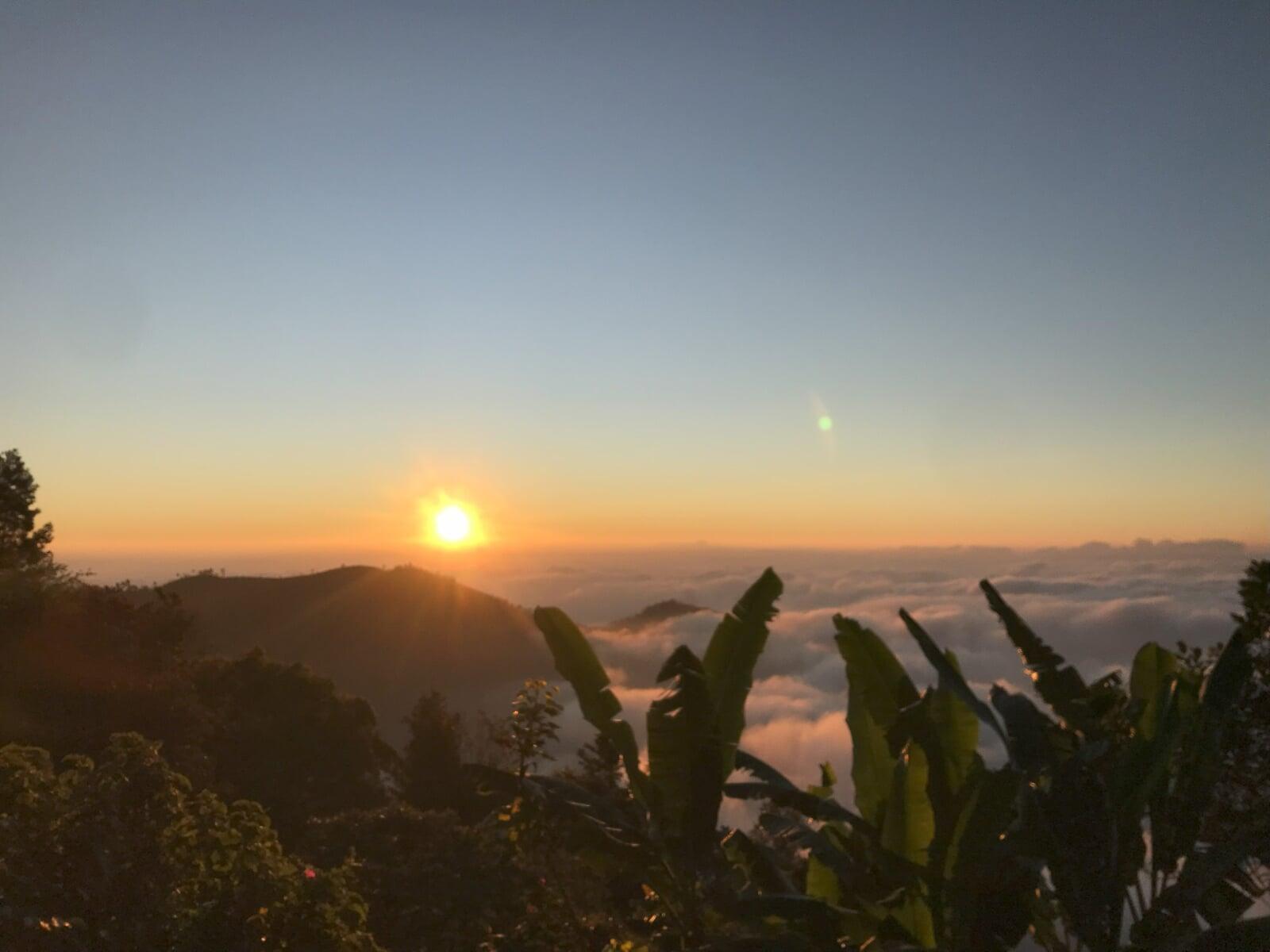 Sunrise over lush green farm fields at Shanti Earth, with mist hovering over the trees